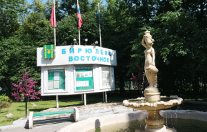 Район Бирюлево Восточное был образован 20 лет назад, в 1995 году