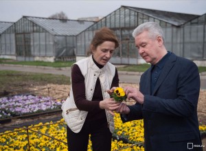 Сергей Собянин рассказал, что в Москве высадят 61 миллион цветов