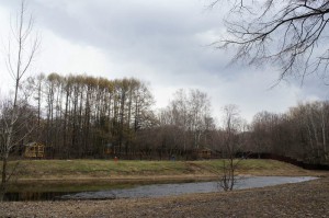 На фото Бирюлевский дендропарк