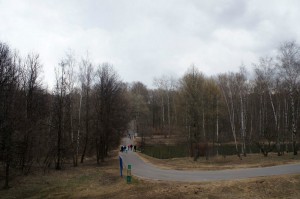На фото территория Бирюлевского дендропарка, где пройдет субботник