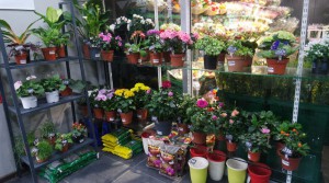 Специализация киосков разнообразна, в том числе это и цветочные торговые павильоны