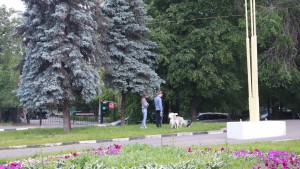 Больше всего зеленых насаждений по программе «Миллион деревьев» этой весной появилось в ЮАО