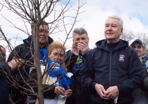 Мэр Москвы Сергей Собянин дал поручение  высадить  новые деревья взамен уничтоженных ураганом
