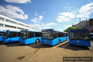 Водители общественного транспорта в одном из парков ЮАО продемонстрировали мастерство управления автобусом