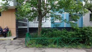 Городские службы увезли упавшее дерево на Михневской улице