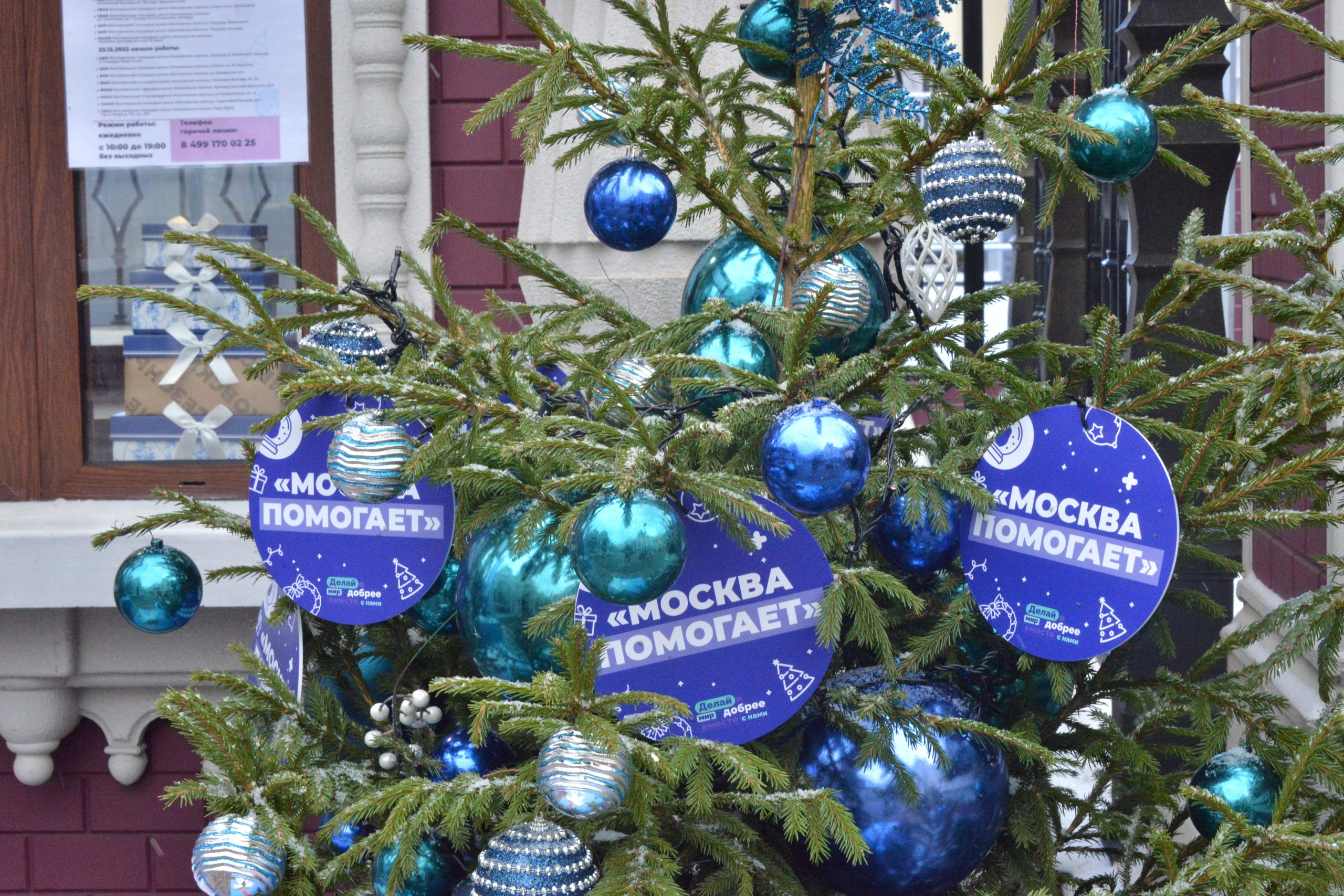 Пункты "Москва помогает" на площадках "Путешествия в Рождество" будут работать до 8 января включительно. Фото: Анна Малакмадзе, «Вечерняя Москва»