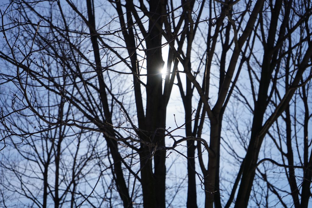 «Экологический след»: тематическое занятие состоится в библиотеке №140. Фото: Анна Быкова, «Вечерняя Москва»