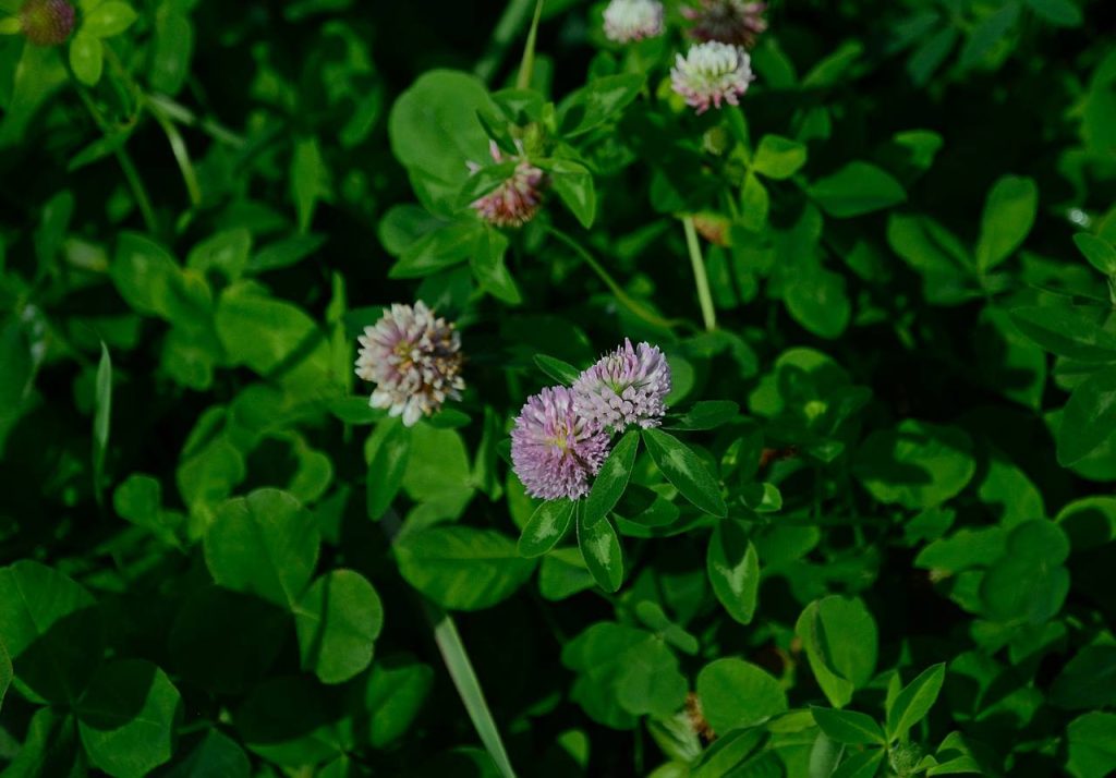 «Спасти себя и планету»: экологическая игра состоится в библиотеке №140. Фото: Анна Быкова, «Вечерняя Москва»