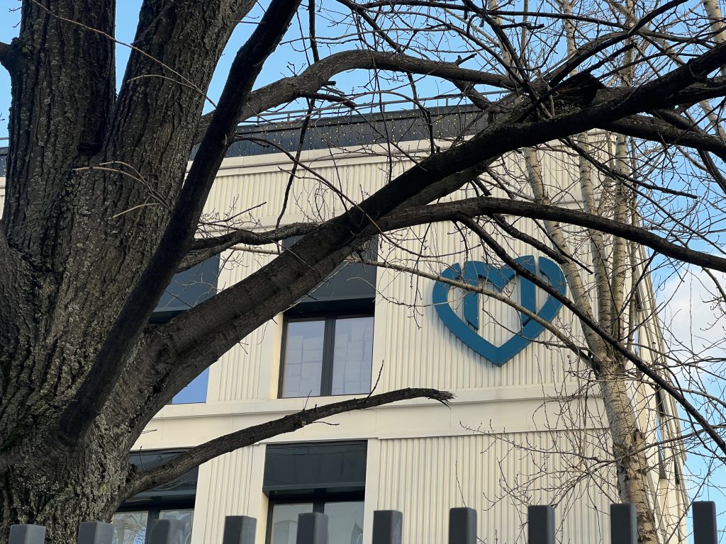 Фото: Марина Гордон, «Вечерняя Москва»