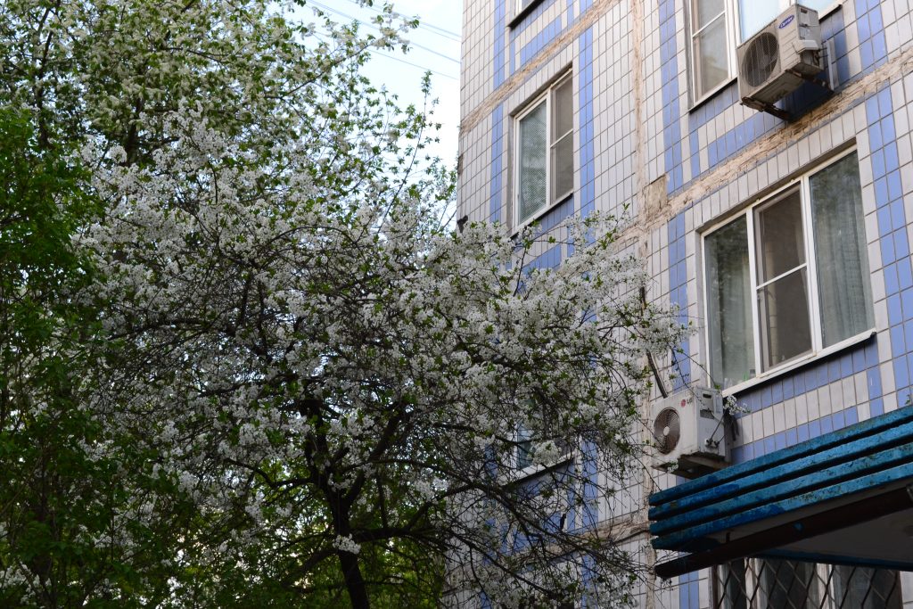 Фото: Сафиуллин Руслан, «Вечерняя Москва»