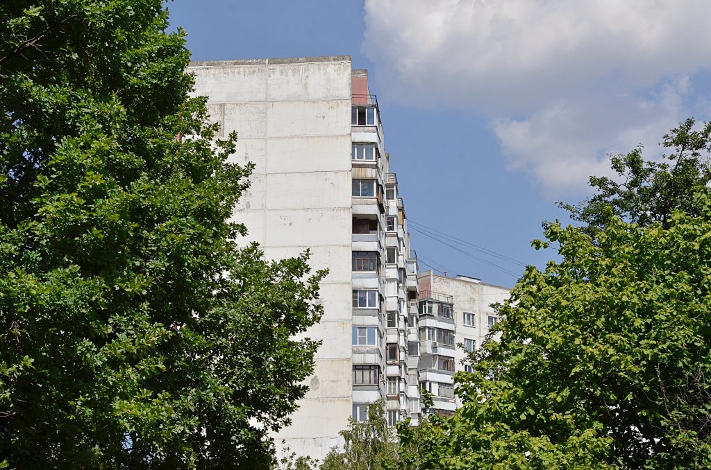 Фото: Анна Быкова, «Вечерняя Москва»