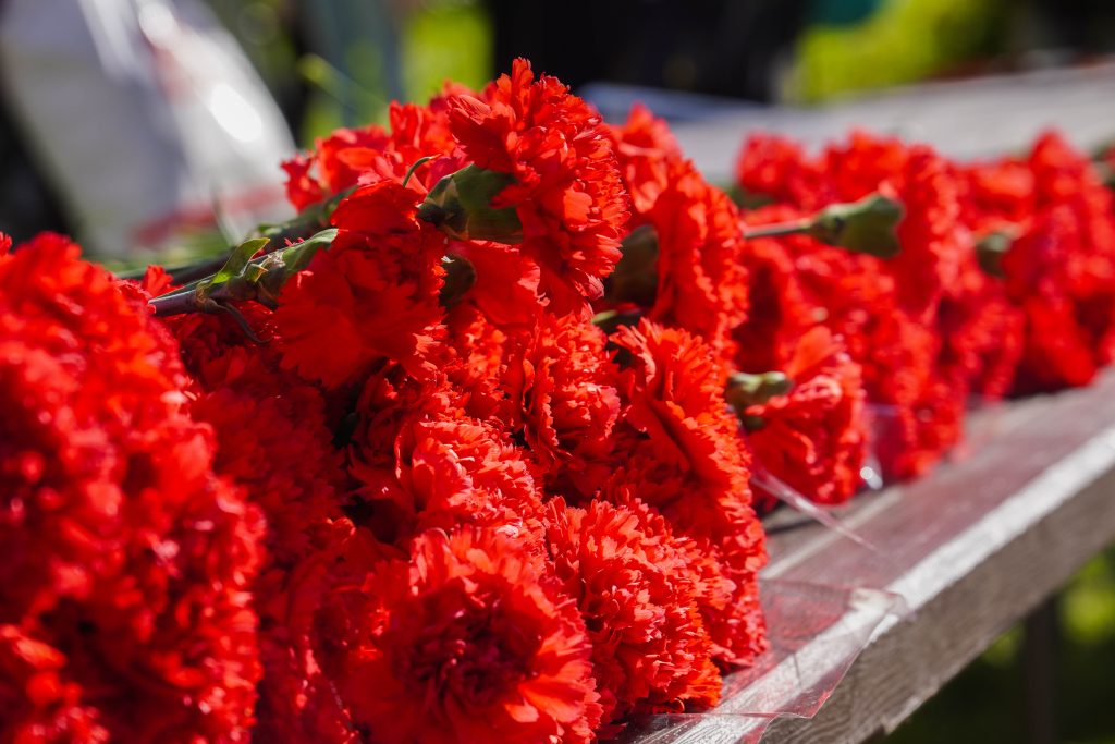 Фото: Ксения Догонашева, «Вечерняя Москва»