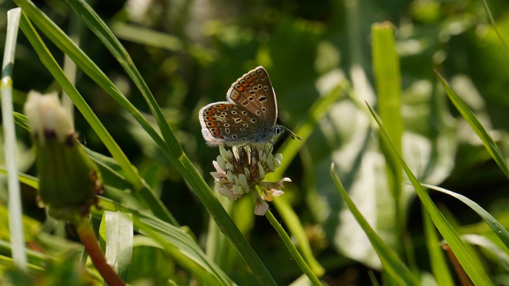 Экологиечский час проведут в библиотеке №138. Фото: Анатолий Цымбалюк, «Вечерняя Москва»