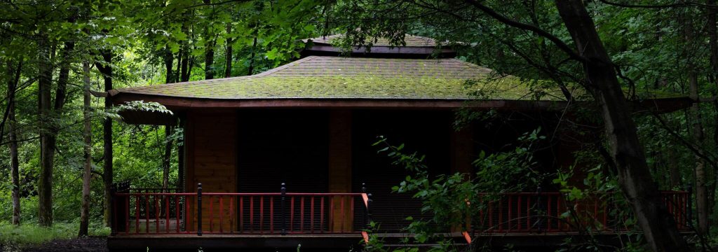 Сад лекарственных растений в МЗ «Царицыно» откроется в новом обновленном виде. Фото: официальный сайт МЗ «Царицыно» 