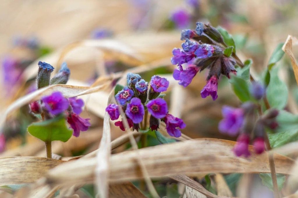 Сотрудники МЗ «Царицыно» создают новые комфортные условия для природы и фауны. Фото: Пресс-служба Департамента природопользования и охраны окружающей среды города Москвы