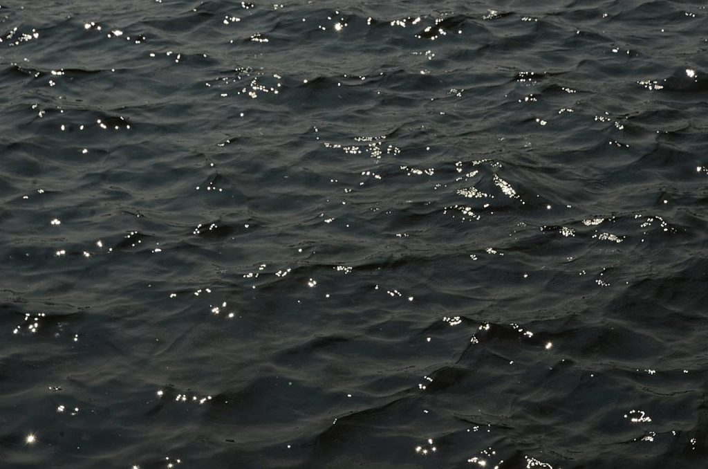 V Ежегодная всероссийская парусная регата работников театра и кино «Рыжая борода» пройдет 28 августа. Фото: Анна Быкова, «Вечерняя Москва»