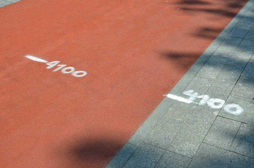 Тренировка по бегу пройдет в Бирюлевском дендропарке. Фото: Анна Быкова, «Вечерняя Москва»