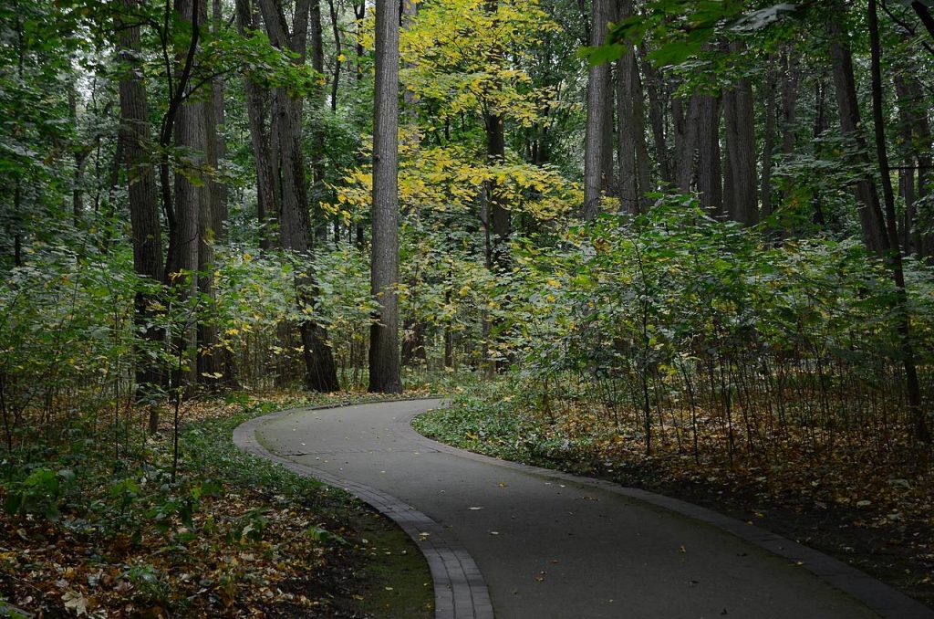 Фото: Анна Быкова, «Вечерняя Москва»
