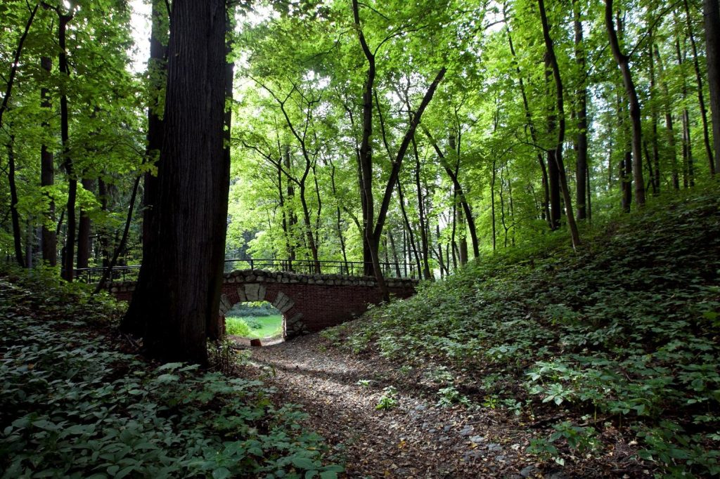 Горожане смогут принять участие в экологическом квесте в МЗ «Царицыно». Фото: сайт музея-заповедника «Царицыно»
