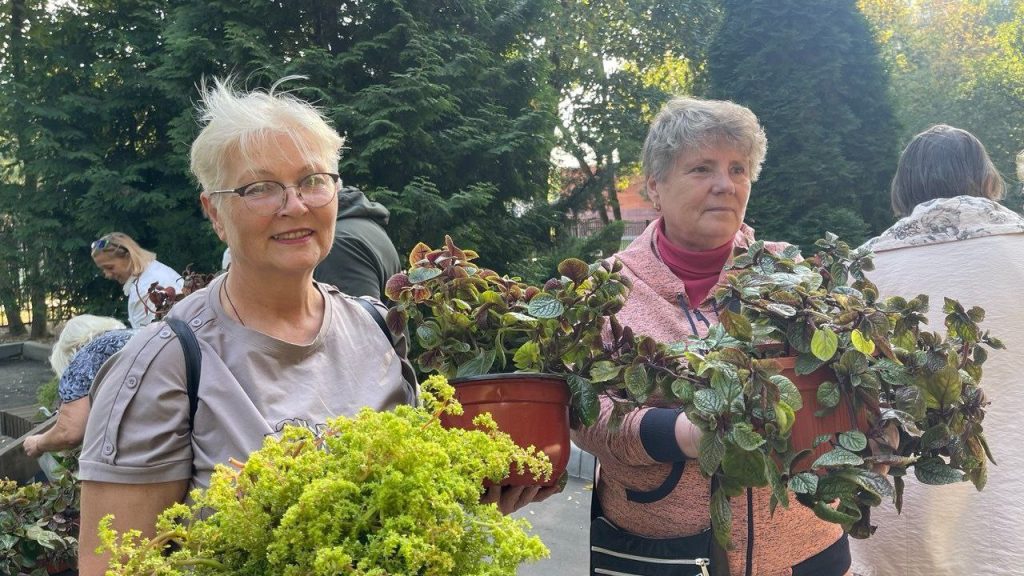 Фото: официальный Telegram-канал аппарата СД ВМО Бирюлево Восточное в социальных сетях