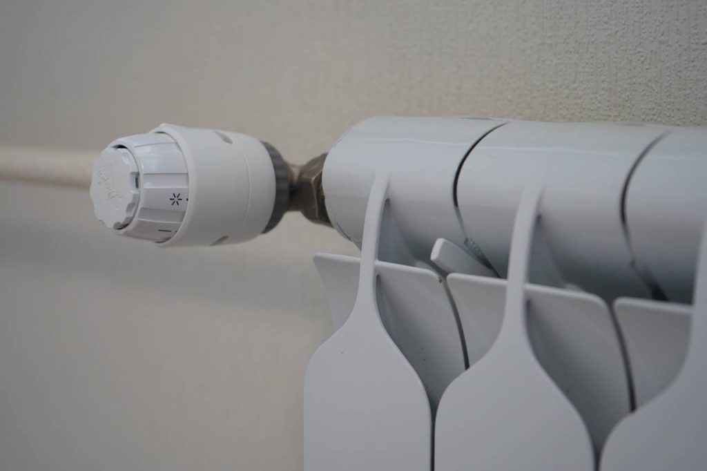 Фото: Анна Быкова, «Вечерняя Москва»