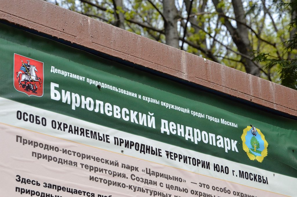 Забег «5 верст» состоится в Бирюлевском дендропарке. Фото: Анна Быкова, «Вечерняя Москва»