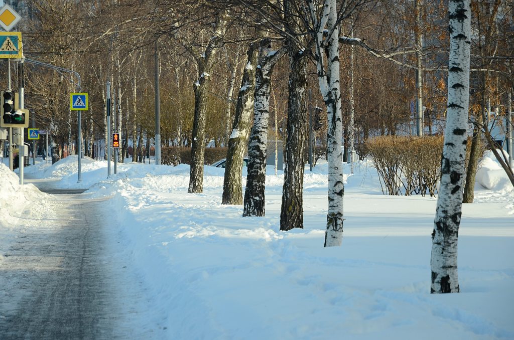 Специалисты начали готовить район Бирюлево Восточное к зиме. Фото: Анна Быкова, «Вечерняя Москва»