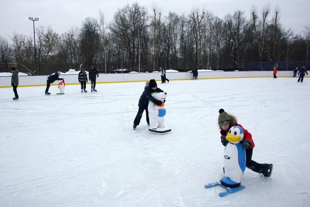 На территории стадиона «Огонек» МЗ «Царицыно» начнет работу каток. Фото: сайт МЗ «Царицыно»