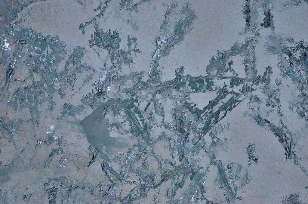 Фото: Анна Быкова, «Вечерняя Москва»