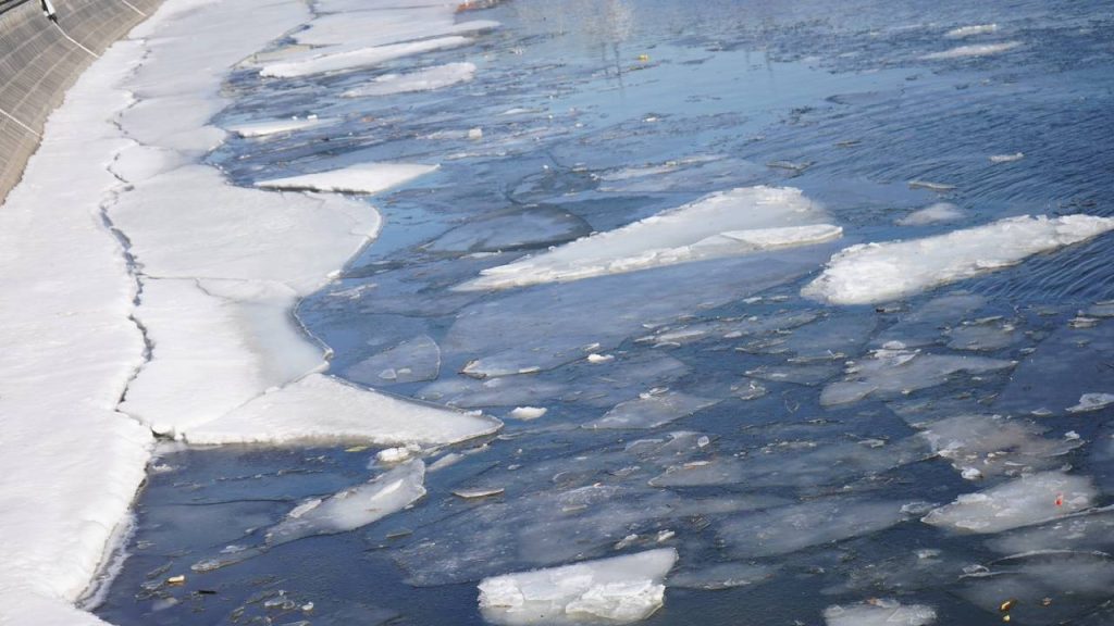 Фото: Анна Быкова, «Вечерняя Москва»