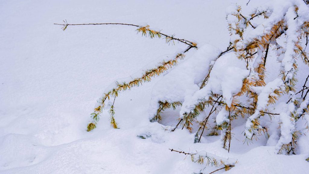 Фото: Ксения Догонашева, «Вечерняя Москва»