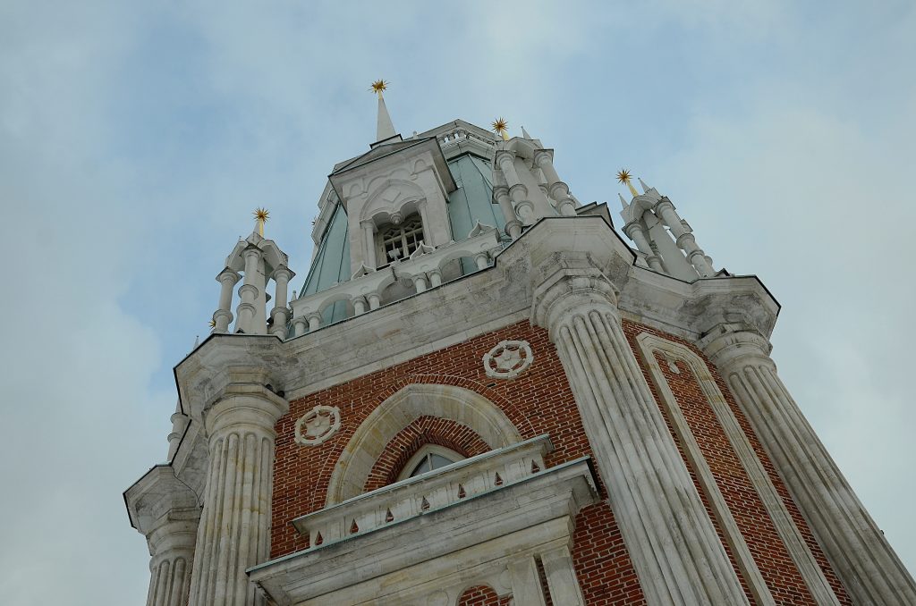 Цапля может перезимовать на Царицынских прудах. Фото: Анна Быкова, «Вечерняя Москва»