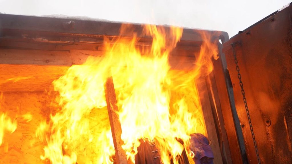 Фото: Анна Быкова, «Вечерняя Москва»