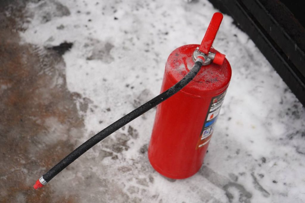 Фото: Анна Быкова, «Вечерняя Москва»