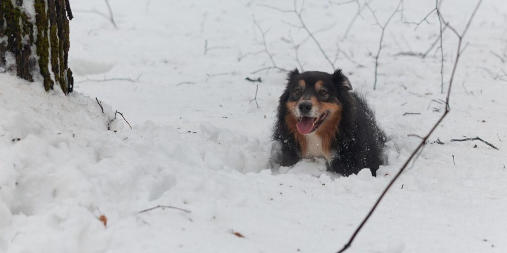 Фото: пресс-служба Управление по ЮАО Департамент