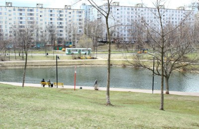 Бирюлевские пруды вошли в городскую программу летнего благоустройства