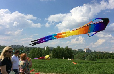 На берегу Нижнего Царицынского пруда в выходные прошел фестиваль воздушных змеев «Пестрое небо»
