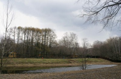 На фото территория Бирюлевского дендропарка