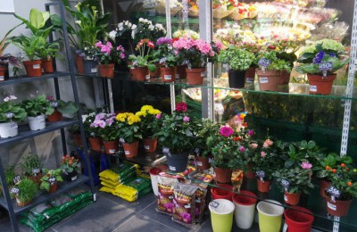Киоски со специализацией "Цветы" расположены в районе Бирюлево Восточное
