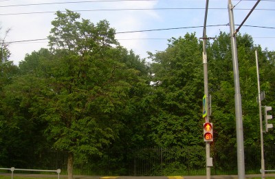 В районе Бирюлево Восточное отремонтировали светофор