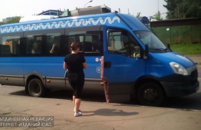 Новые синие автобусы в районе Бирюлево Восточное
