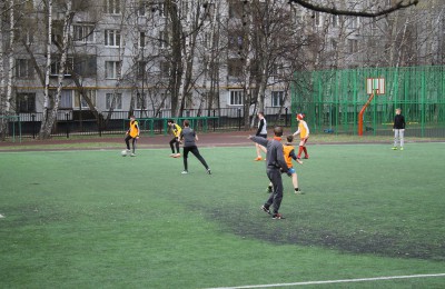 Спорт в районе Бирюлево Восточное