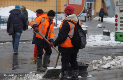 По просьбе местных жителей в районе Бирюлево Восточное провели уборку двора