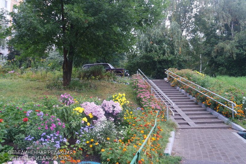 Местные власти района Бирюлево Восточный улучшают дворы