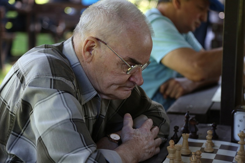 Турнир по шахматам в Царицыно