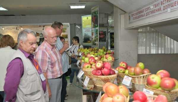Институт садоводства, выставка, яблоки, 14034