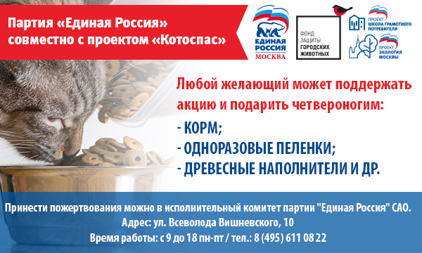 ЕР, кошки, актуалка, 2406