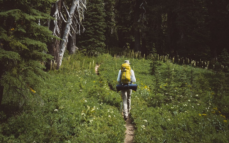 лес, МЧС, актуалка, 3007