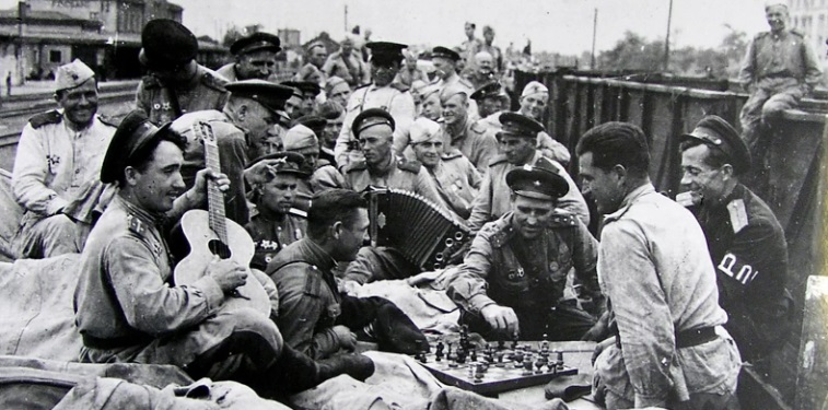 ветеран, гвоздики, Великая Отечественная война, мосру, 16101