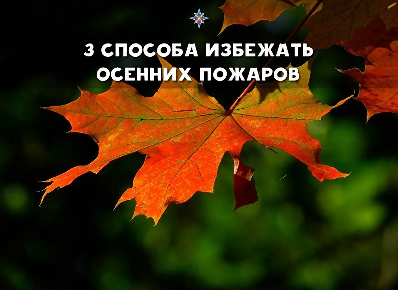 лист, пожар, лес, МЧС, актуалка, 2110